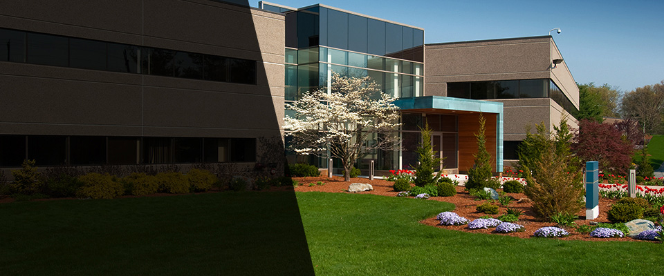 Dos Palos Landscapers