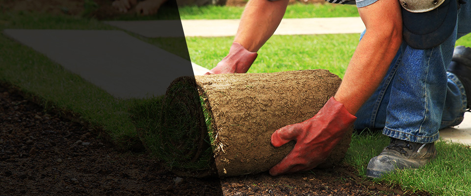 Dos Palos Landscapers